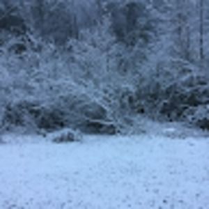 Meet your Posher, Carla